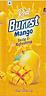 REAL BURRST MANGO (and logo) trademark logo