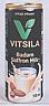 VITSILA (and logo) trademark logo