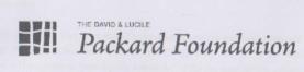 THE DAVID & LUCILE PACKARD FOUNDATION (and logo) trademark logo