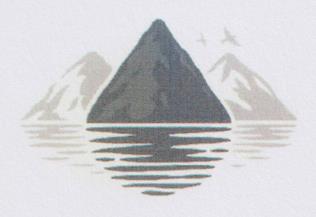 DEVICE MARK trademark logo