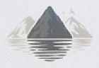 DEVICE MARK trademark logo
