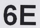 6E (and logo) trademark logo