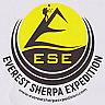 ESE (and logo) trademark logo