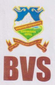 BVS (and logo) trademark logo