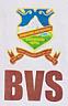 BVS (and logo) trademark logo