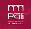 PALI (and logo) trademark logo