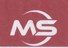 MS (and logo) trademark logo