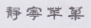 CHINIESE CHARACTERS (and logo) trademark logo