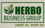 HERBO BUSINESS GROUP (and logo) trademark logo