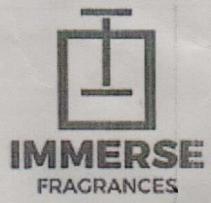 IMMERSE (and logo) trademark logo