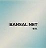 BANSAL NET -RIPL (and logo) trademark logo
