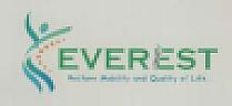 EVEREST (and logo) trademark logo