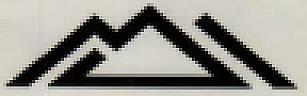DEVICE MARK trademark logo