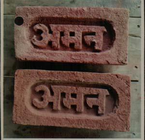 AMAN (and logo) trademark logo