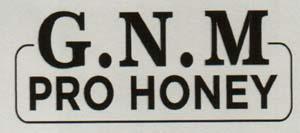 G.N.M PRO HONEY (and logo) trademark logo