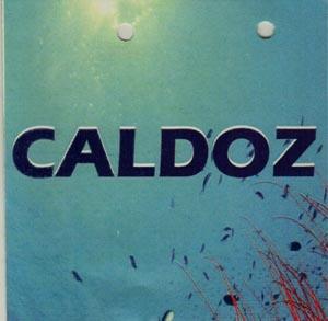 CALDOZ (and logo) trademark logo