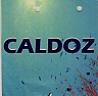 CALDOZ (and logo) trademark logo