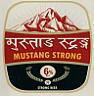 MUSTANG STRONG (and logo) trademark logo