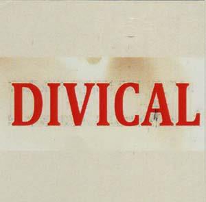 DIVICAL (and logo) trademark logo
