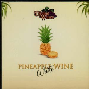 DIVINE WINES PINEAPPLE WINE WHITE (and logo) trademark logo