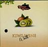 DIVINE WINES KIWI WINE WHITE (and logo) trademark logo