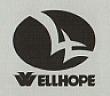 WELLHOPE (and logo) trademark logo