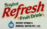 RAYBOT REFRESH FRUIT DRINK (and logo) trademark logo