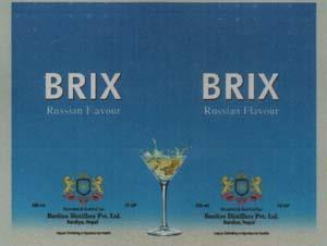 BRIX (and logo) trademark logo