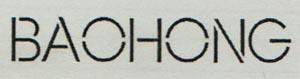 BAOHONG (and logo) trademark logo
