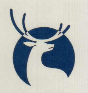 DEVICE MARK trademark logo