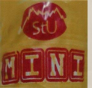 MINI (and logo) trademark logo