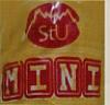 MINI (and logo) trademark logo