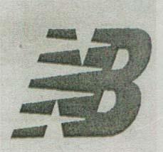 NB (and logo) trademark logo