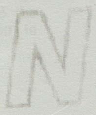 N (and logo) trademark logo