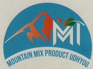 MMT (and logo) trademark logo