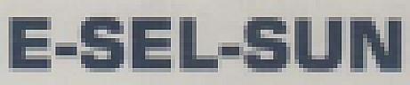 E-SEL-SUN (and logo) trademark logo