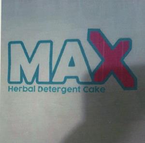 MAX (and logo) trademark logo