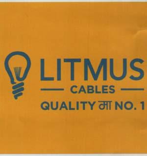 LITMUS (and logo) trademark logo