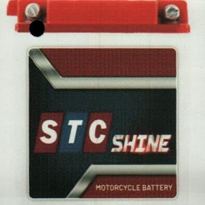 STC SHINE (and logo) trademark logo