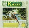 KALIZ (and logo) trademark logo