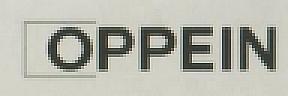 OPPEIN (and logo) trademark logo