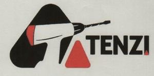 TENZI (and logo) trademark logo