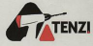 TENZI (and logo) trademark logo