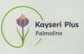KAYSERI PALMOLINE (and logo) trademark logo