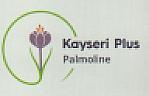 KAYSERI PALMOLINE (and logo) trademark logo