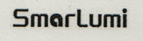 SmarLumi (and logo) trademark logo