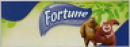 FORTUNE (and logo) trademark logo
