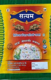 SATYAM (and logo) trademark logo