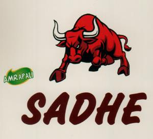 AMRAPALI SADHE (and logo) trademark logo