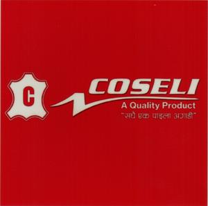 COSELI (and logo) trademark logo